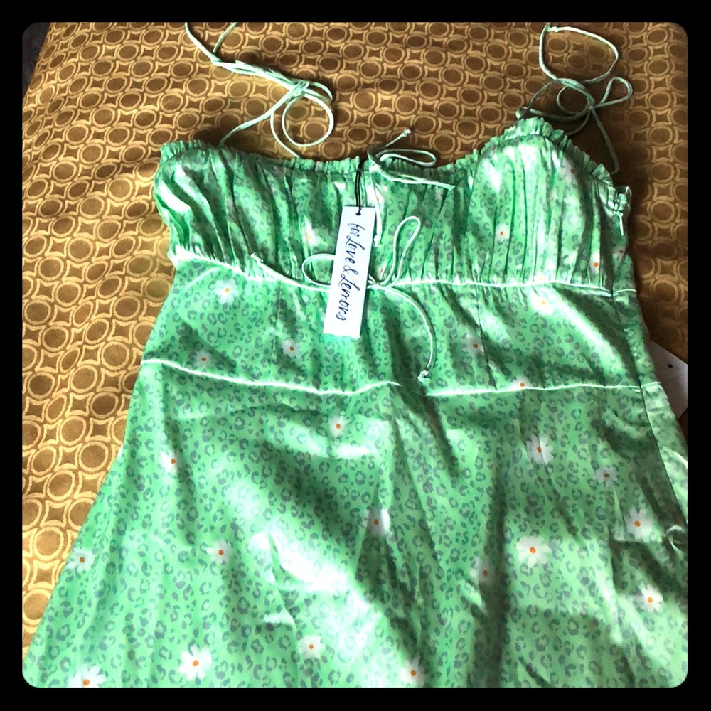 For Love and Lemons Dress